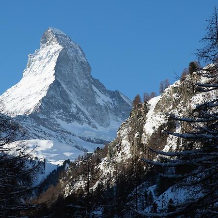 Bolero 4.5 Dachzimmerwohnung Zermatt Dış mekan fotoğraf
