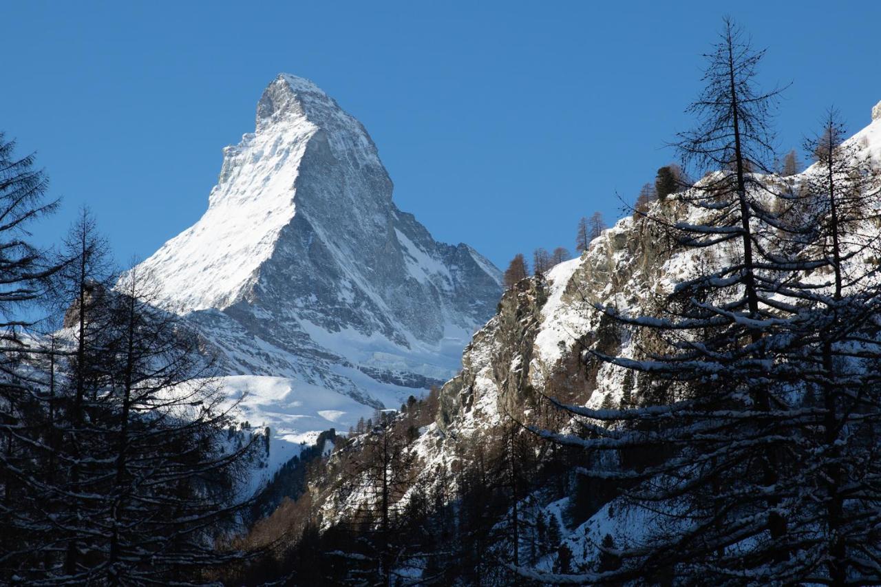 Bolero 4.5 Dachzimmerwohnung Zermatt Dış mekan fotoğraf